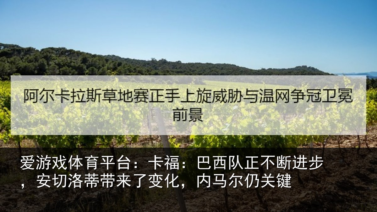 爱游戏体育平台：卡福相关情况，安切相关情况马尔仍关键