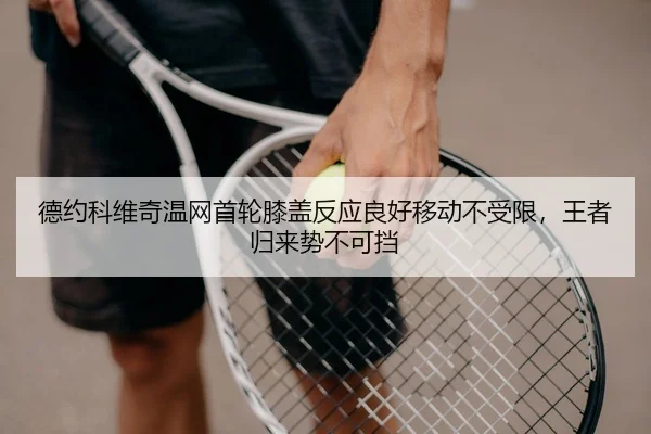 de-yue-ke-wei-qi-wen-wang-shou-lun-xi-gai-fan-ying-liang-hao-yi-dong-bu-shou-xian-wang-zhe-gui-lai-shi-bu-ke-dang-3-735.jpg